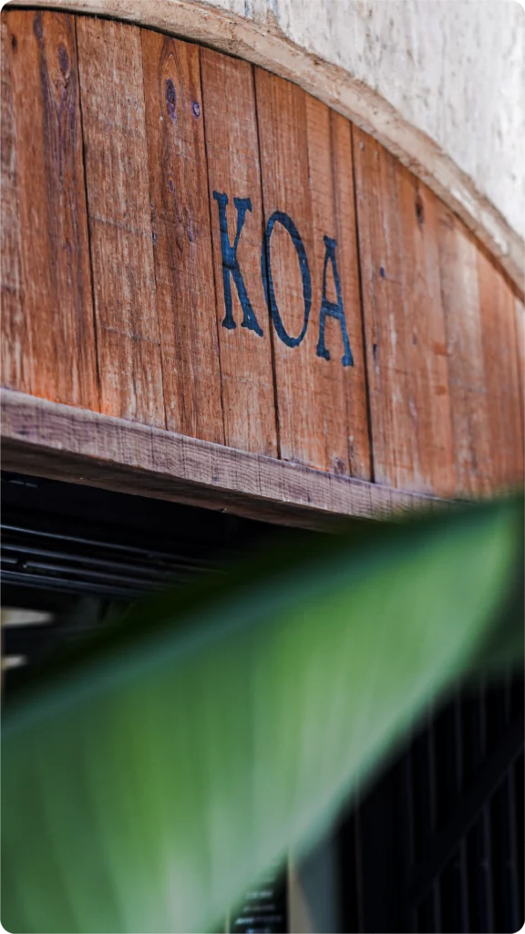 restaurante koa palma-15